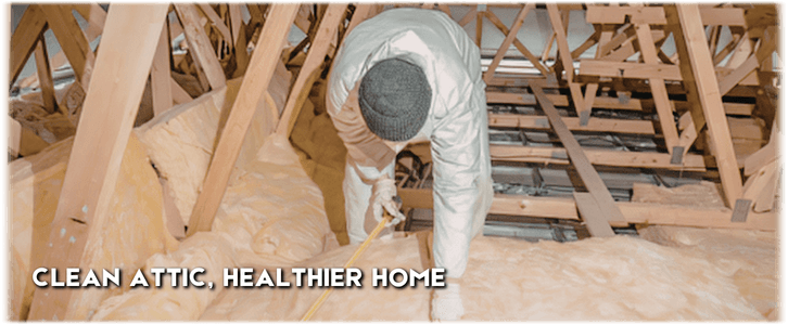 Attic Cleaning Chicago